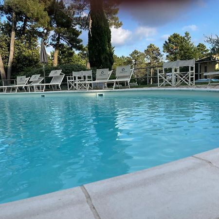 San VivaldoTuscany Relax H&H - Helly House公寓 外观 照片