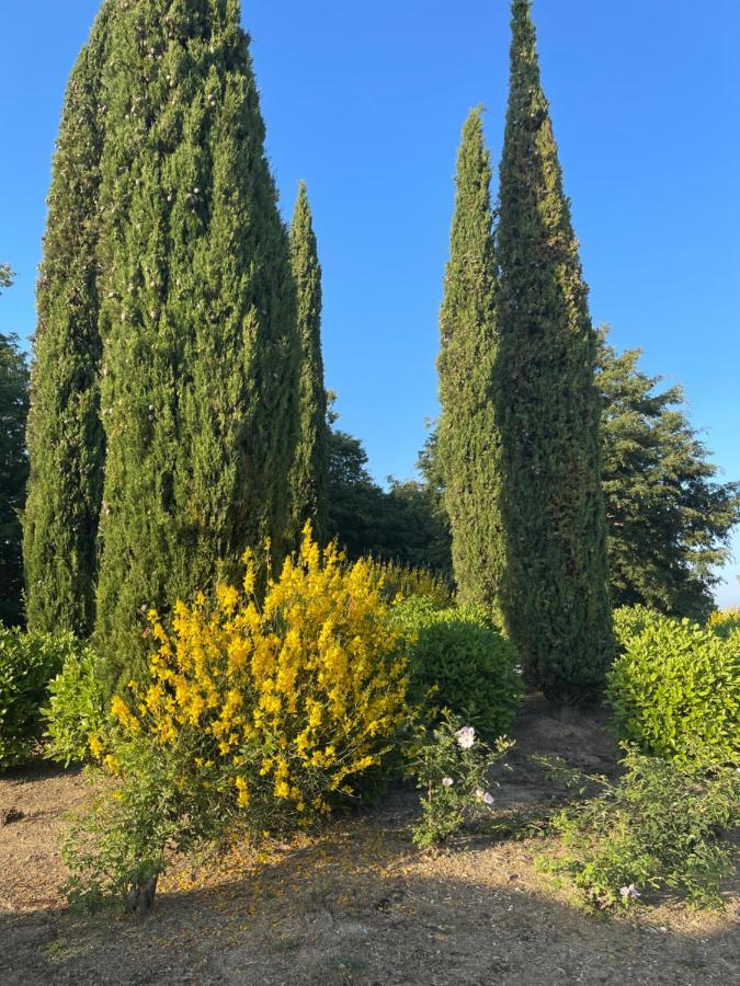 San VivaldoTuscany Relax H&H - Helly House公寓 外观 照片